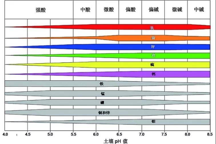 土壤PH速測儀，快速測PH